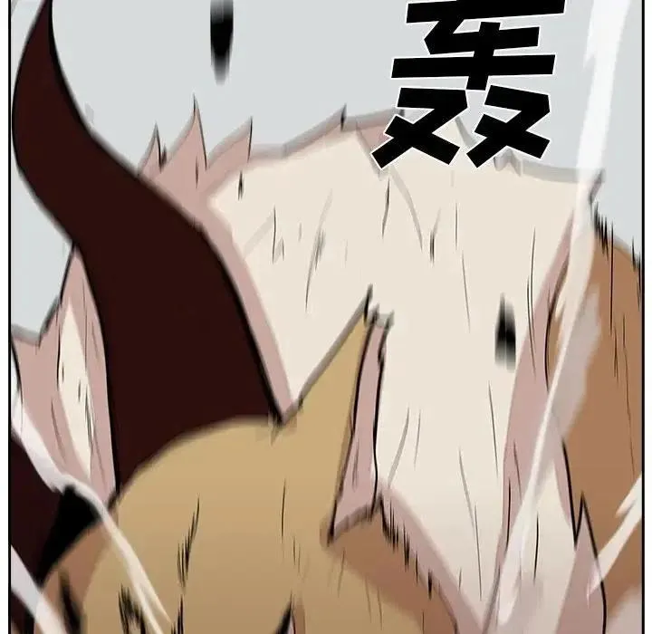 13 第120页