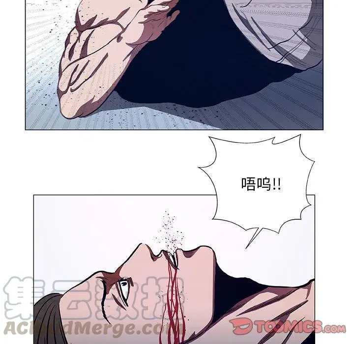 44 第43页
