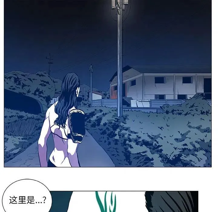 44 第54页