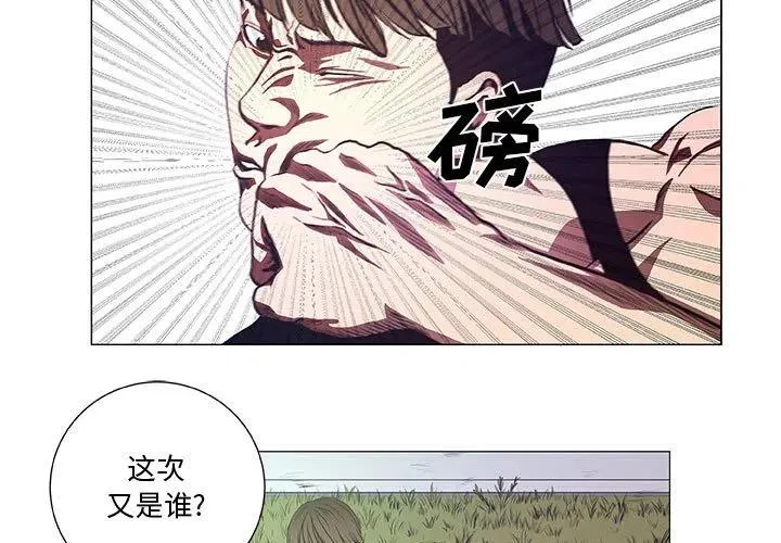 43 第3页