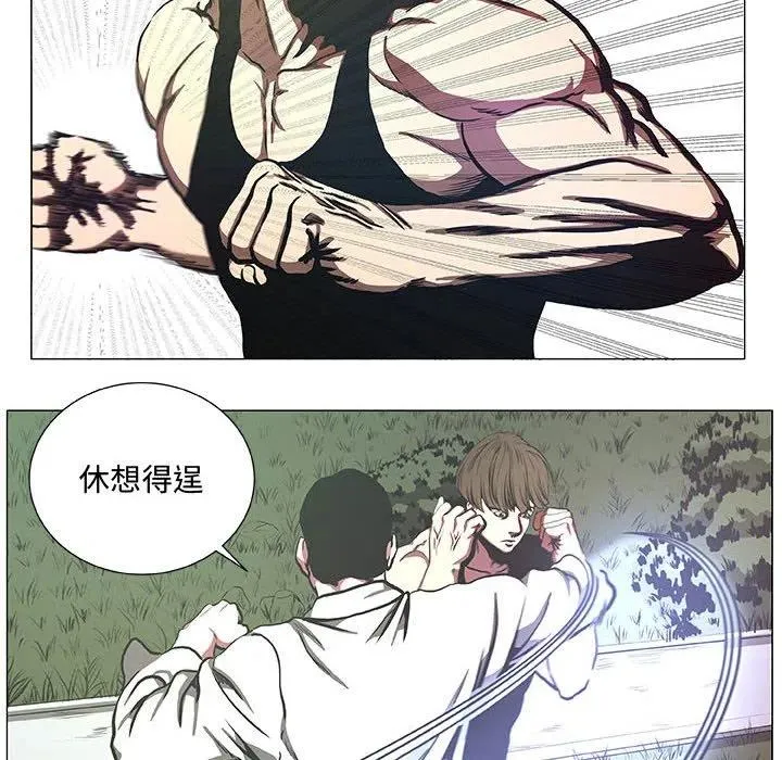 43 第8页