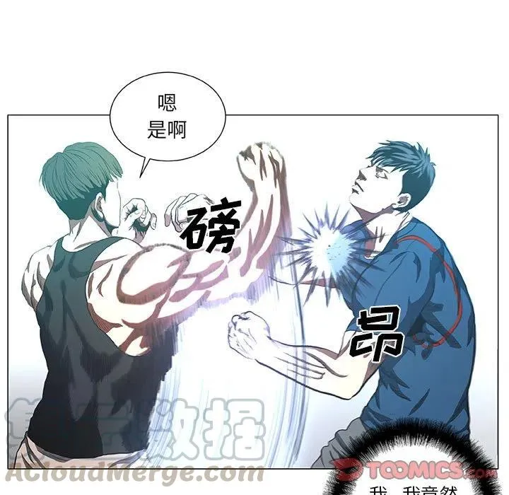 43 第13页