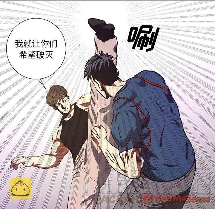 43 第16页