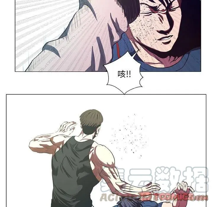 43 第19页