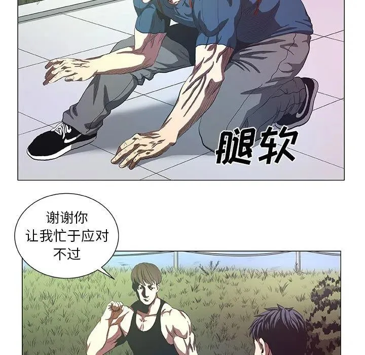43 第21页