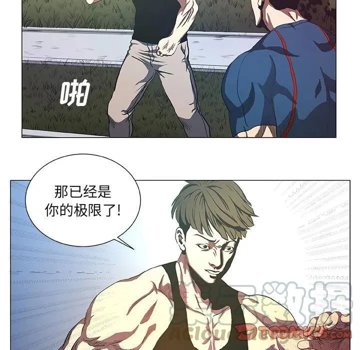 43 第22页