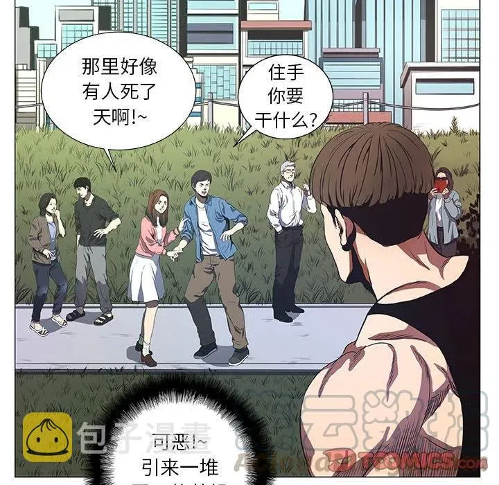 43 第25页