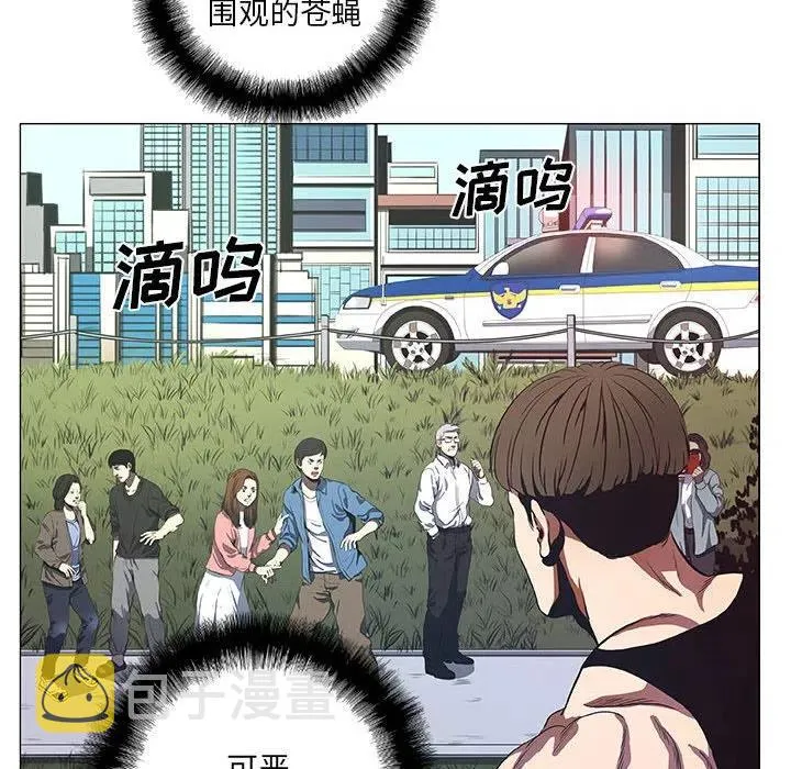 43 第26页