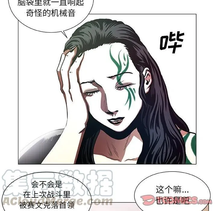 43 第49页