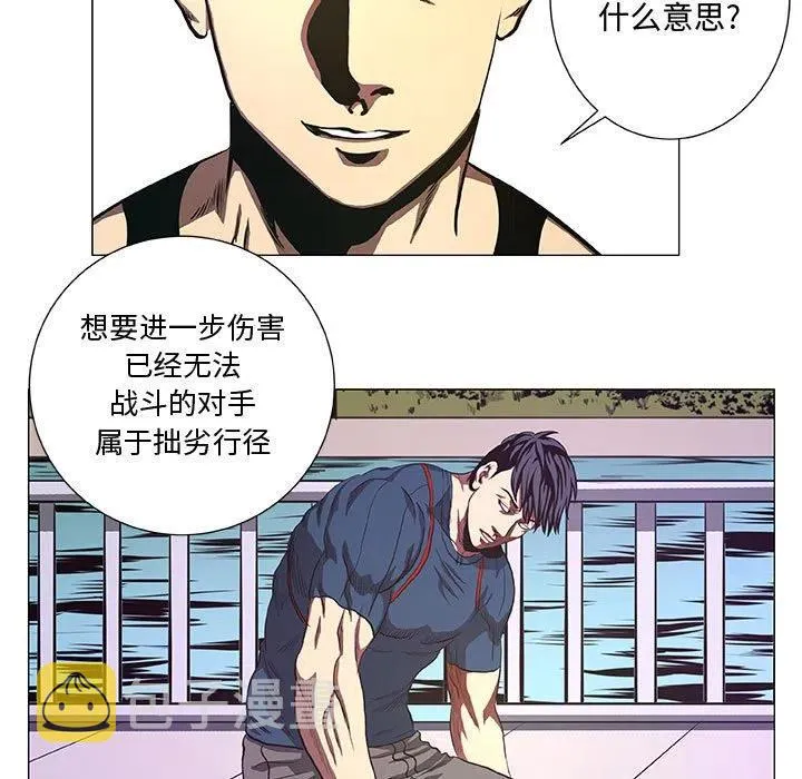 42 第41页