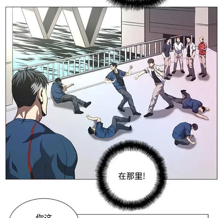 41 第5页