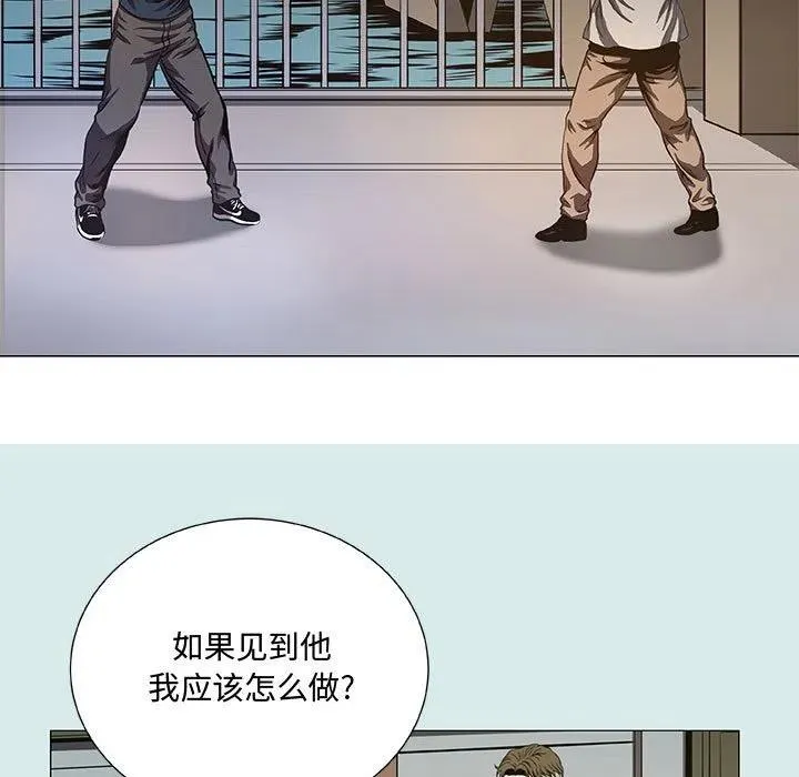 41 第29页