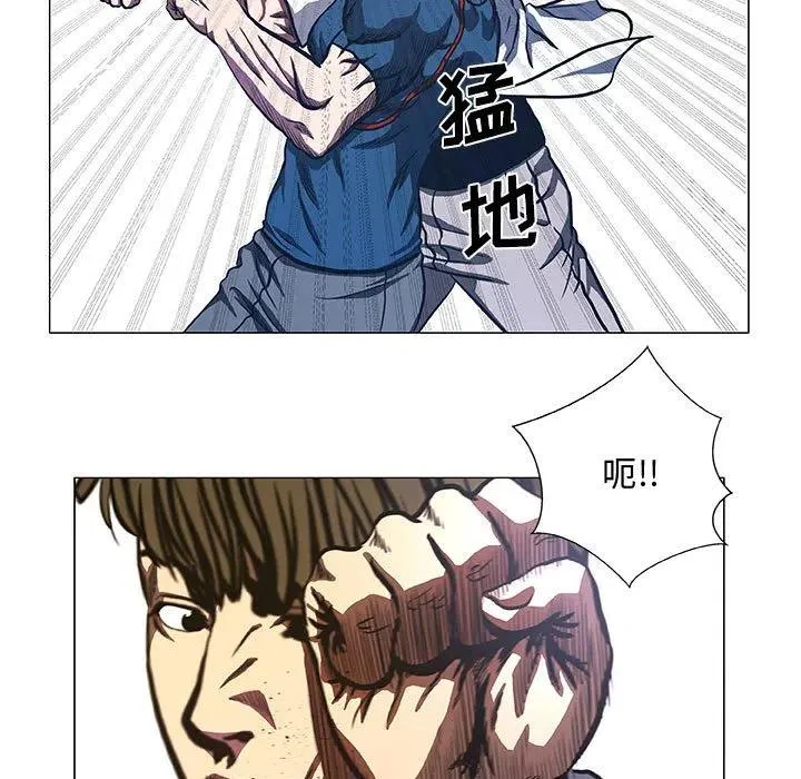 41 第41页