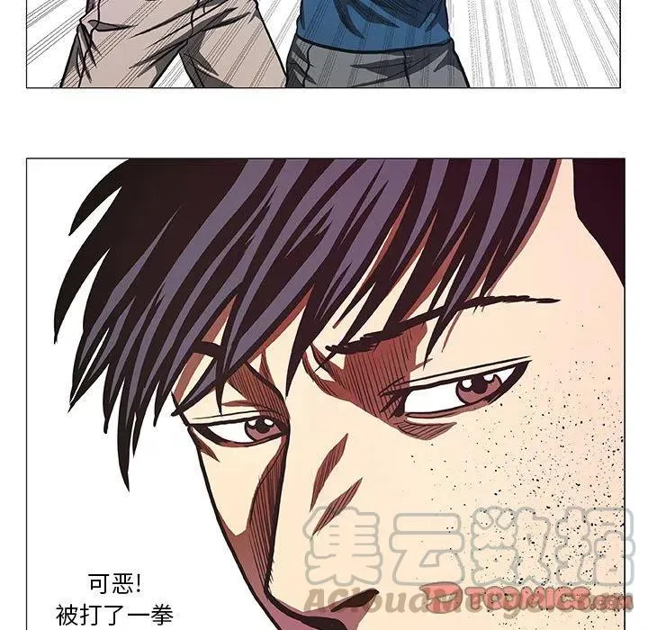 41 第43页