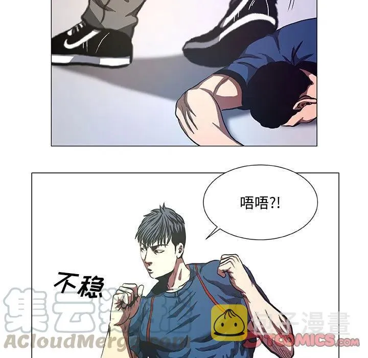 41 第49页