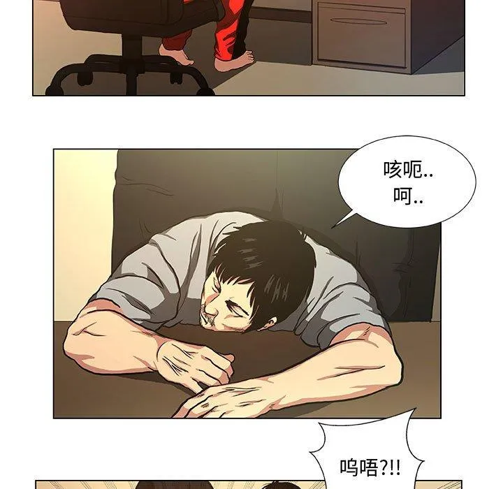 36 第27页