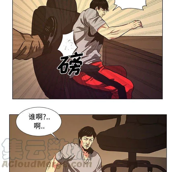 36 第28页