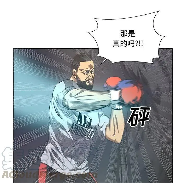 29 第46页