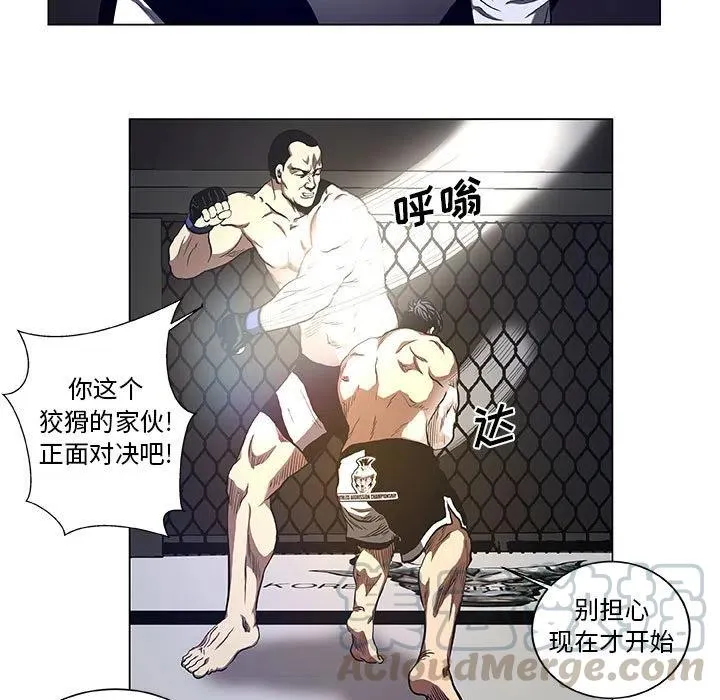 28 第13页