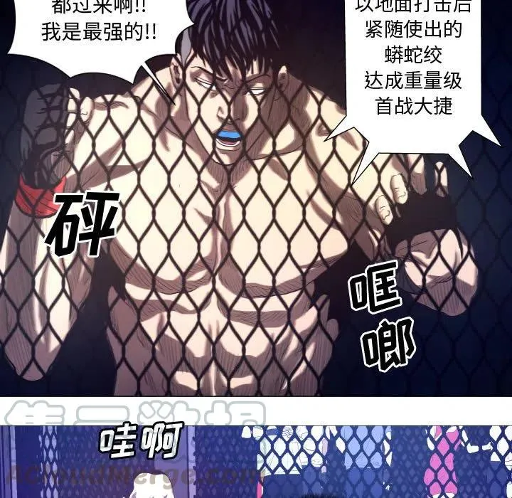 13 第49页
