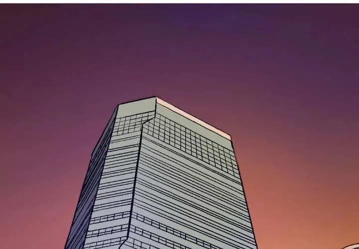 14 第3页