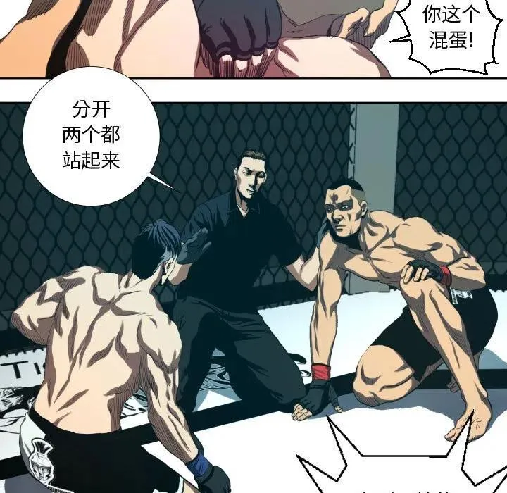 17 第41页