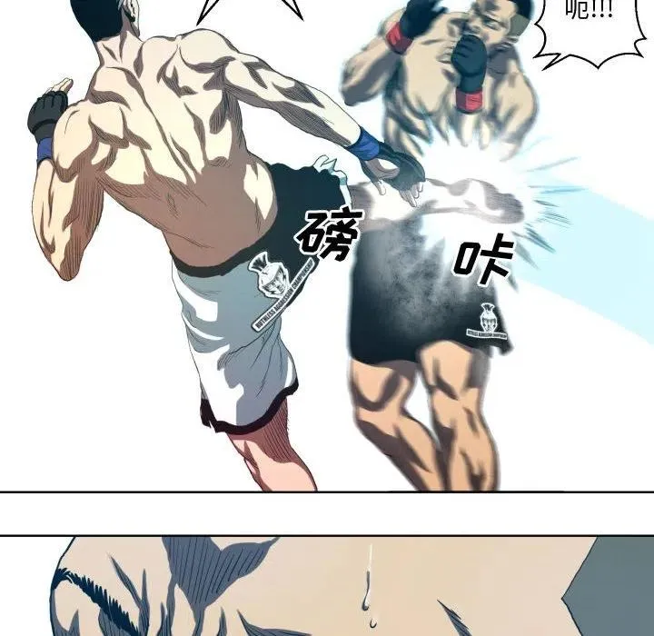 17 第48页