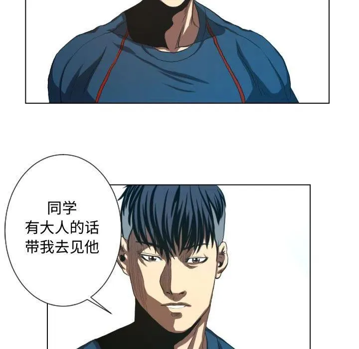 19 第41页