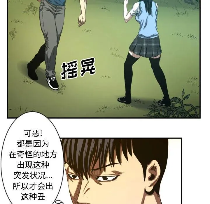 20 第8页