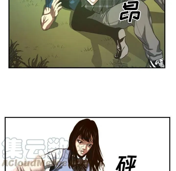 20 第29页