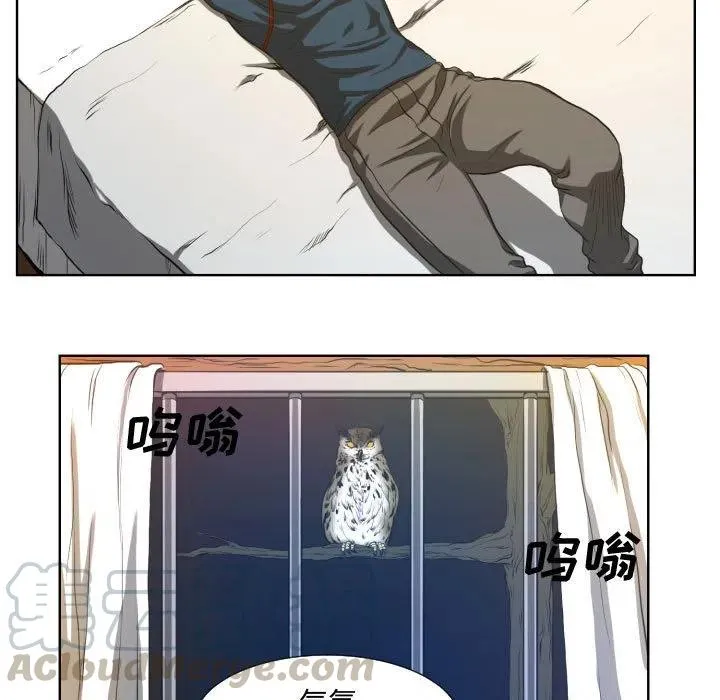 21 第19页