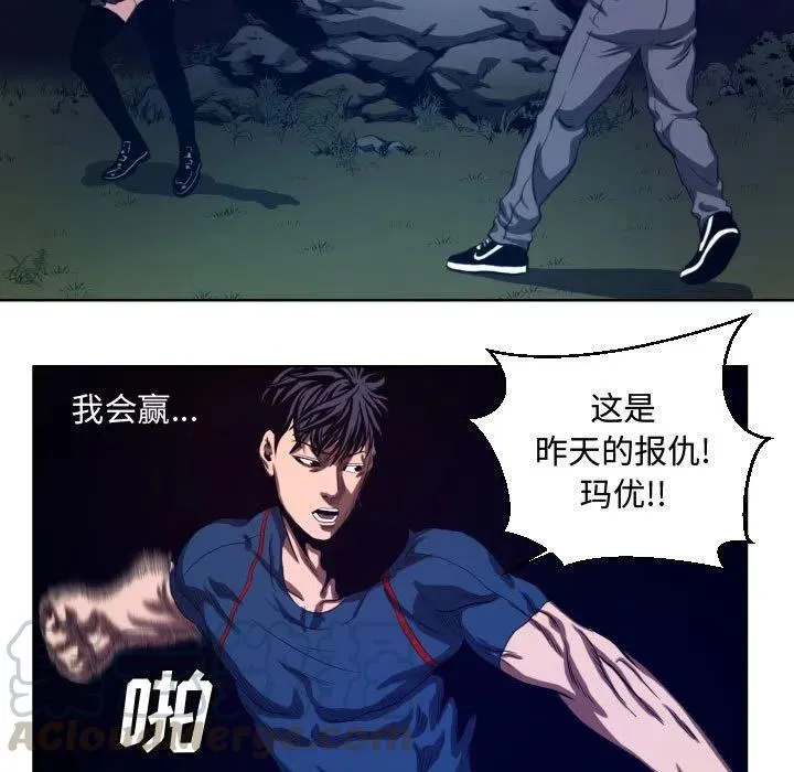 22 第43页
