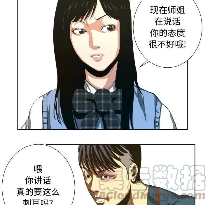 23 第25页