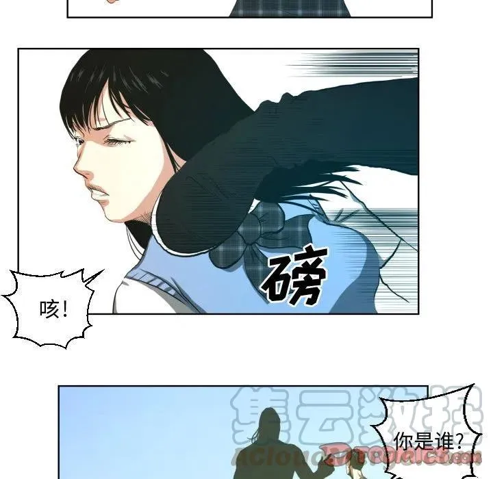 23 第31页