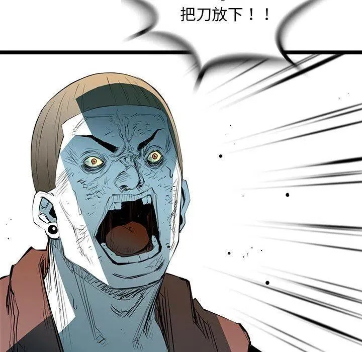 55 第55页