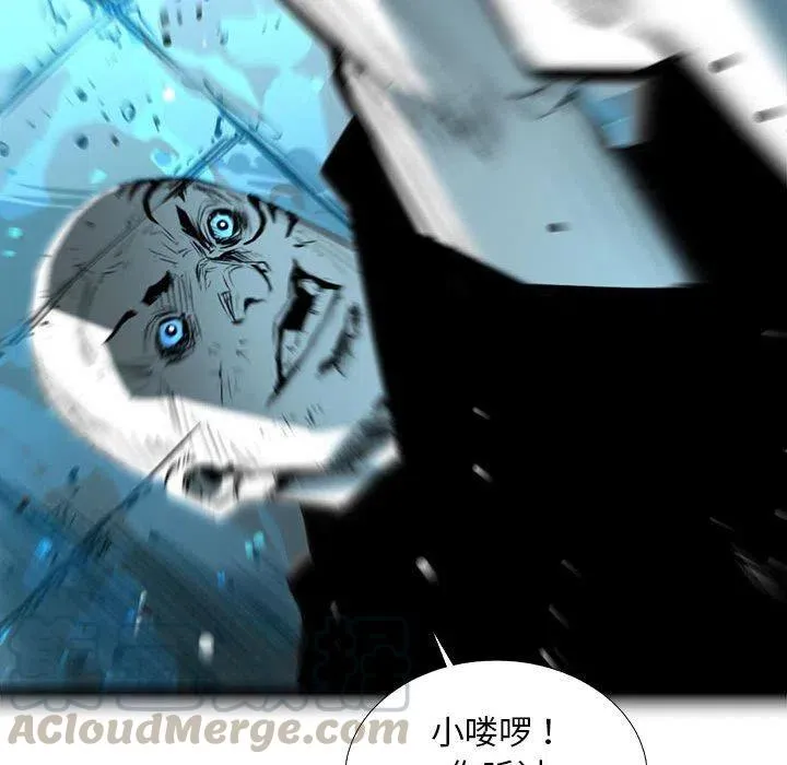 55 第113页