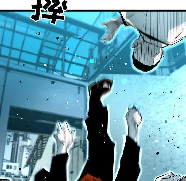 55 第116页