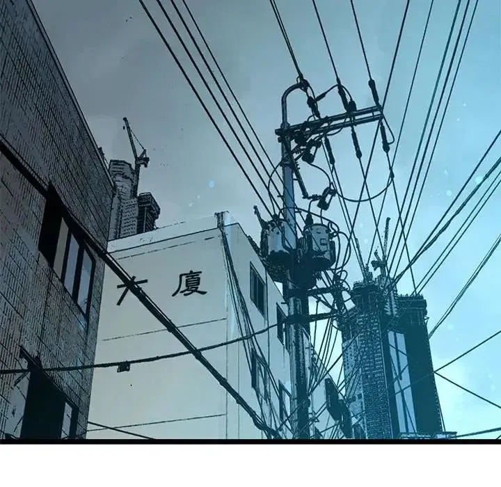 54 第30页