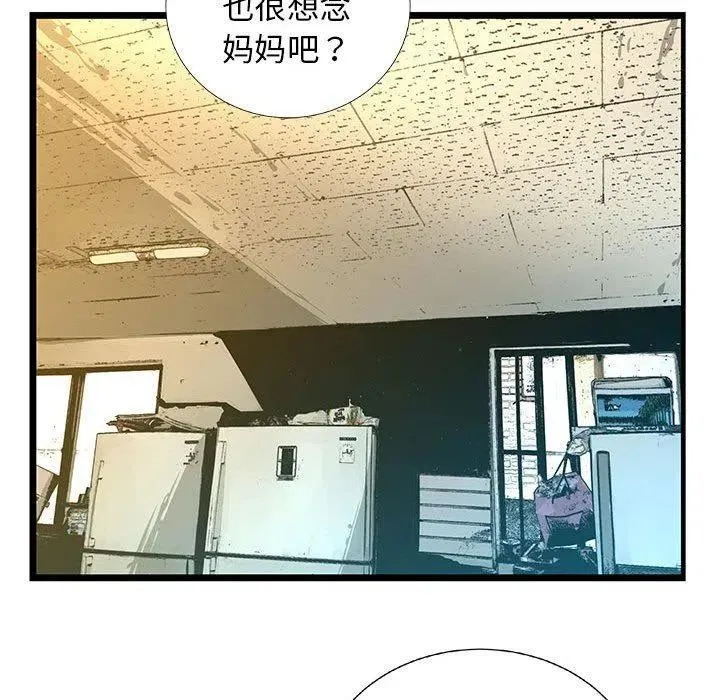 53 第108页
