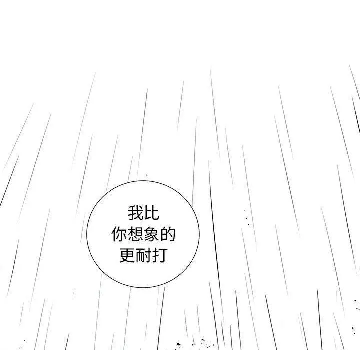 48 第28页