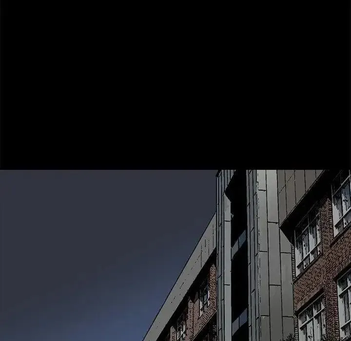 17 第6页