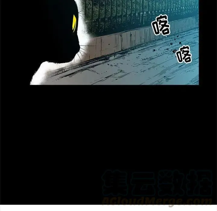 17 第9页