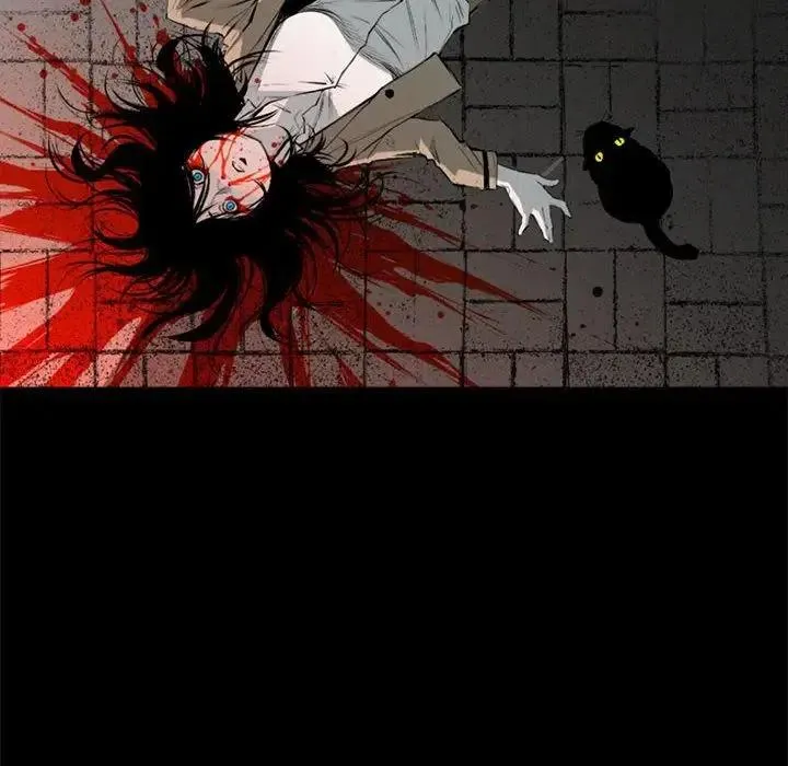 17 第35页