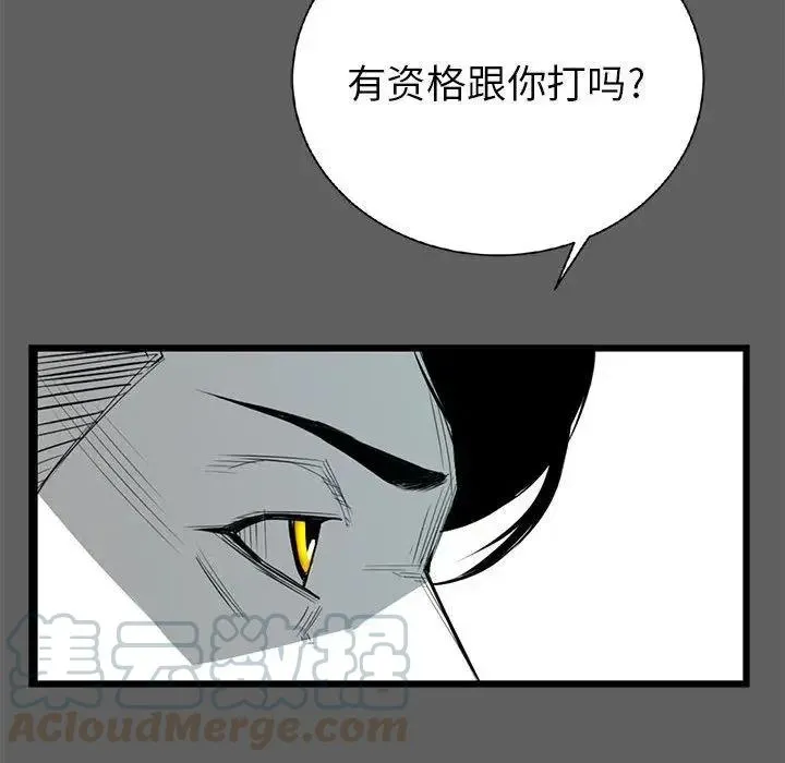 17 第113页
