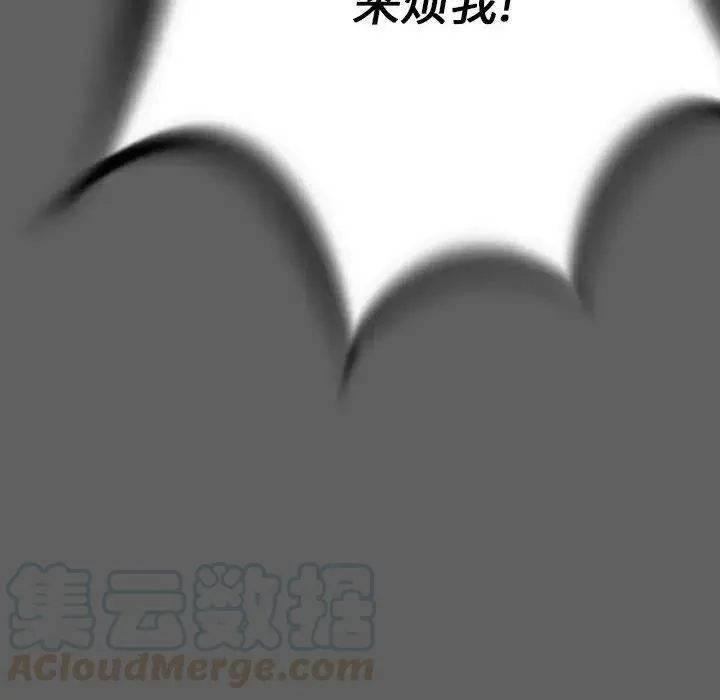 17 第165页