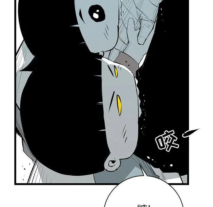19 第50页