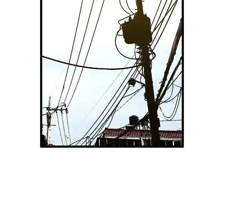 19 第88页