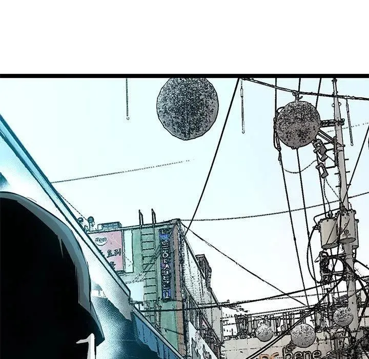 19 第115页