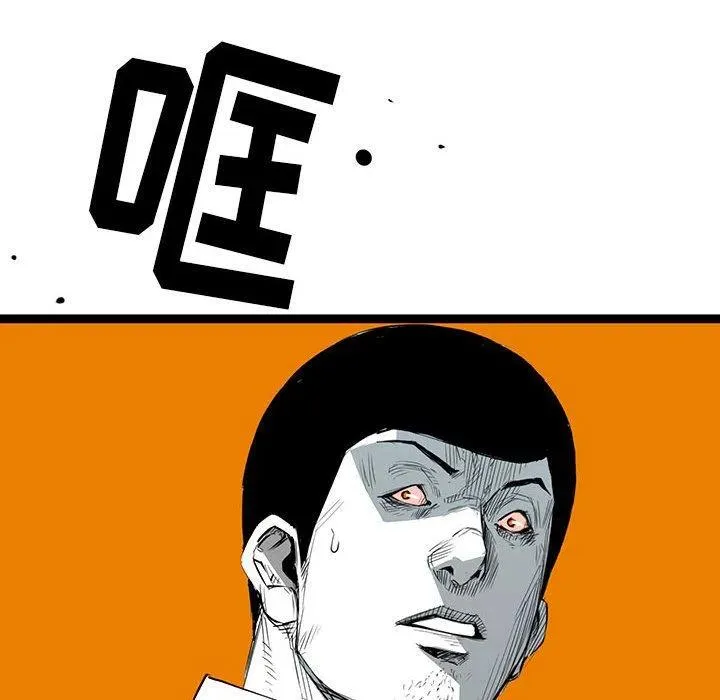21 第43页
