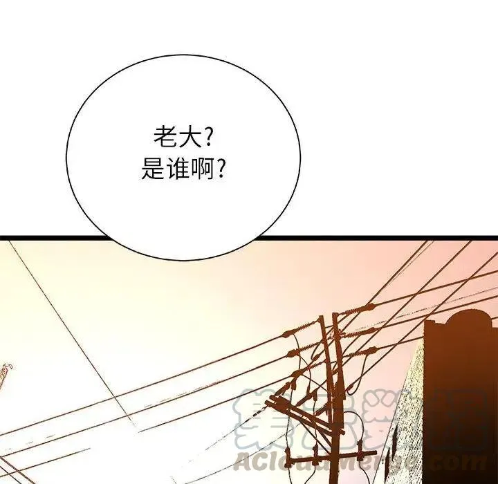 22 第61页